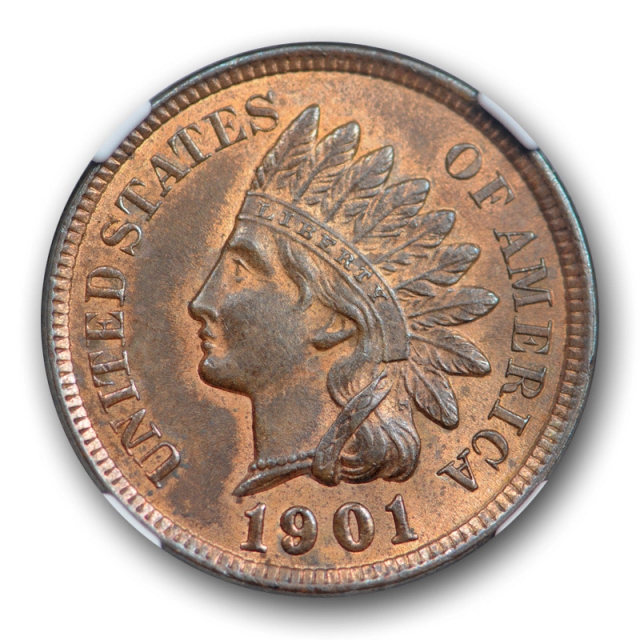 1901 1c Indian Head Cent NGC MS 63 RB Uncirculated Red Brown Common Date